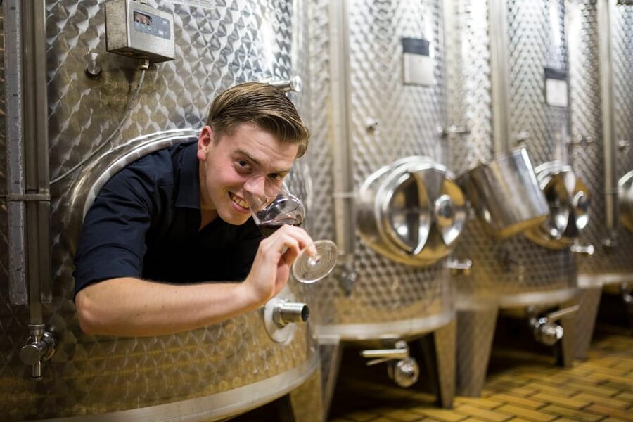 Winetasting with tour through the winery - Practical tips so you get more from the tasting