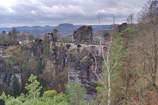 Winterland Tour to Bohemian and Saxon Switzerland from Dresden - Lunch in Bohemian Switzerland: Czech comfort food with dietary flexibility